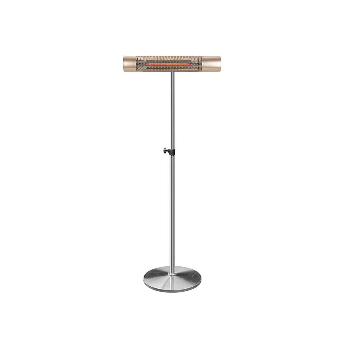 California Gold with Silver Stand