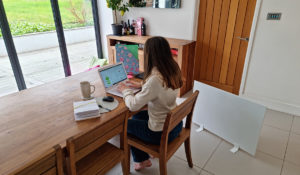 Portable panel heater