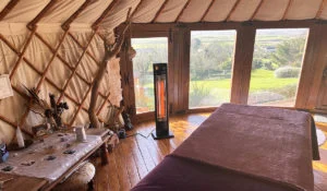 Malibu portable patio heater