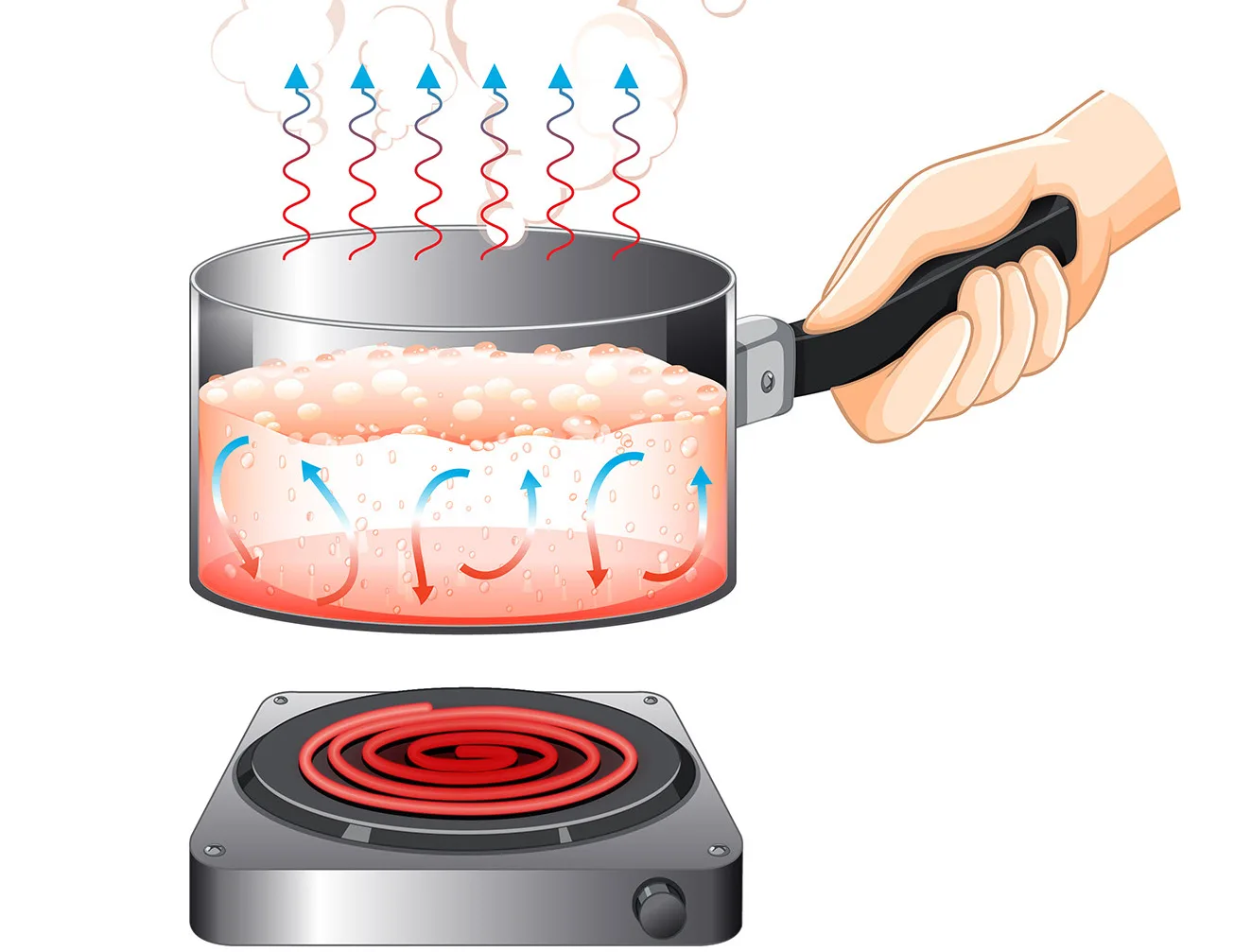 convection diagram