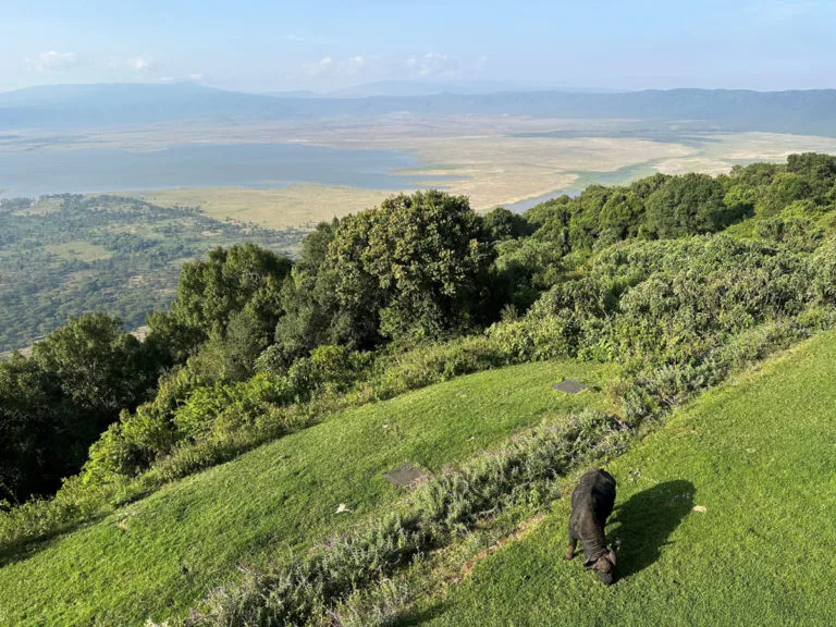 Tanzania Hotel View