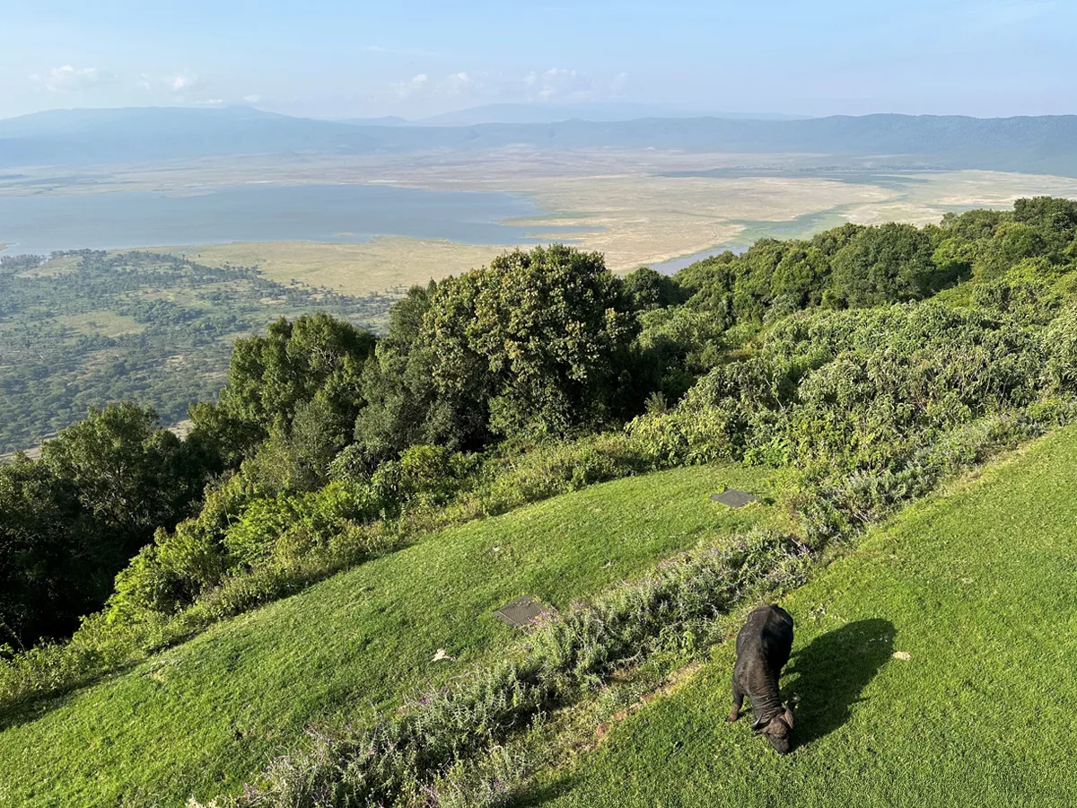 Tanzania Hotel View