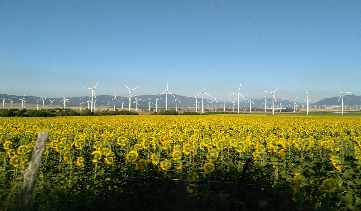 Wind turbines generating green energy